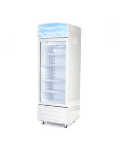 ثلاجة بان كول تبريد 238 لتر زجاج خط 220 - XLS250